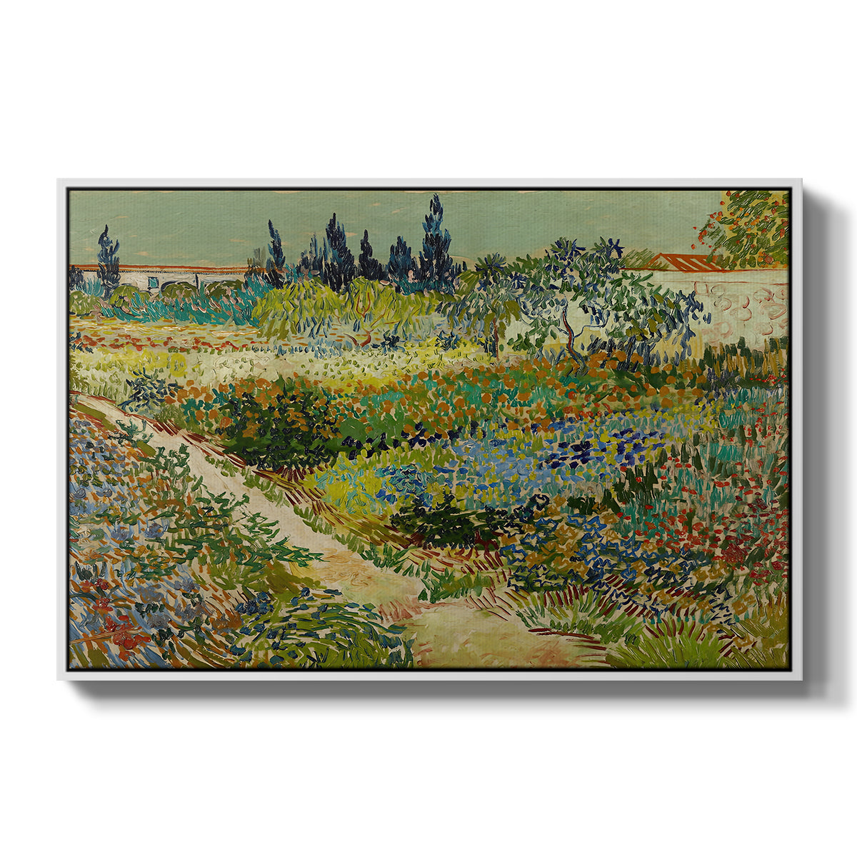 Garden at Arles, 1888 - Floater Framed Canvas Print