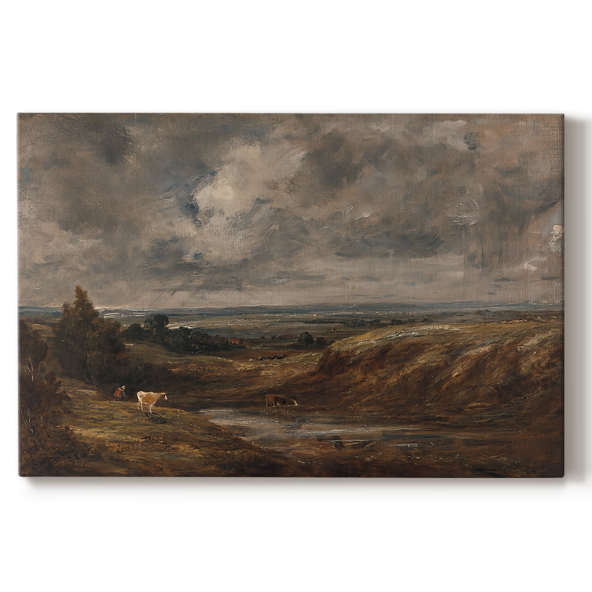 Canvas art print portraying an open heath landscape with low vegetation and expansive sky, set against a white background