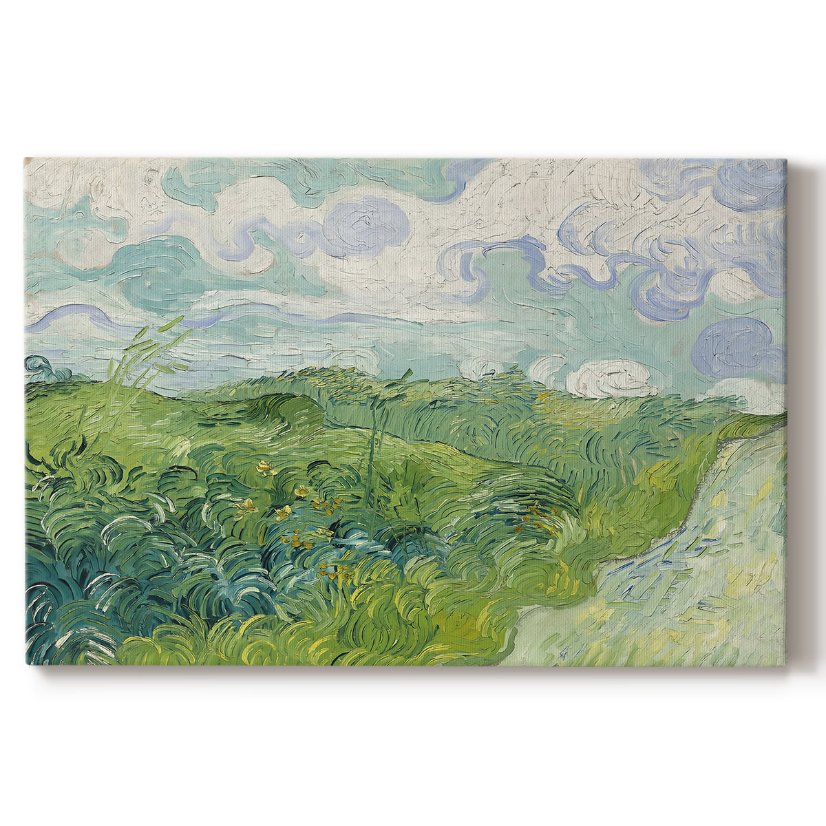 Canvas art print portraying a vivid green wheat field stretching across rolling landscape under pale sky, set against a white background