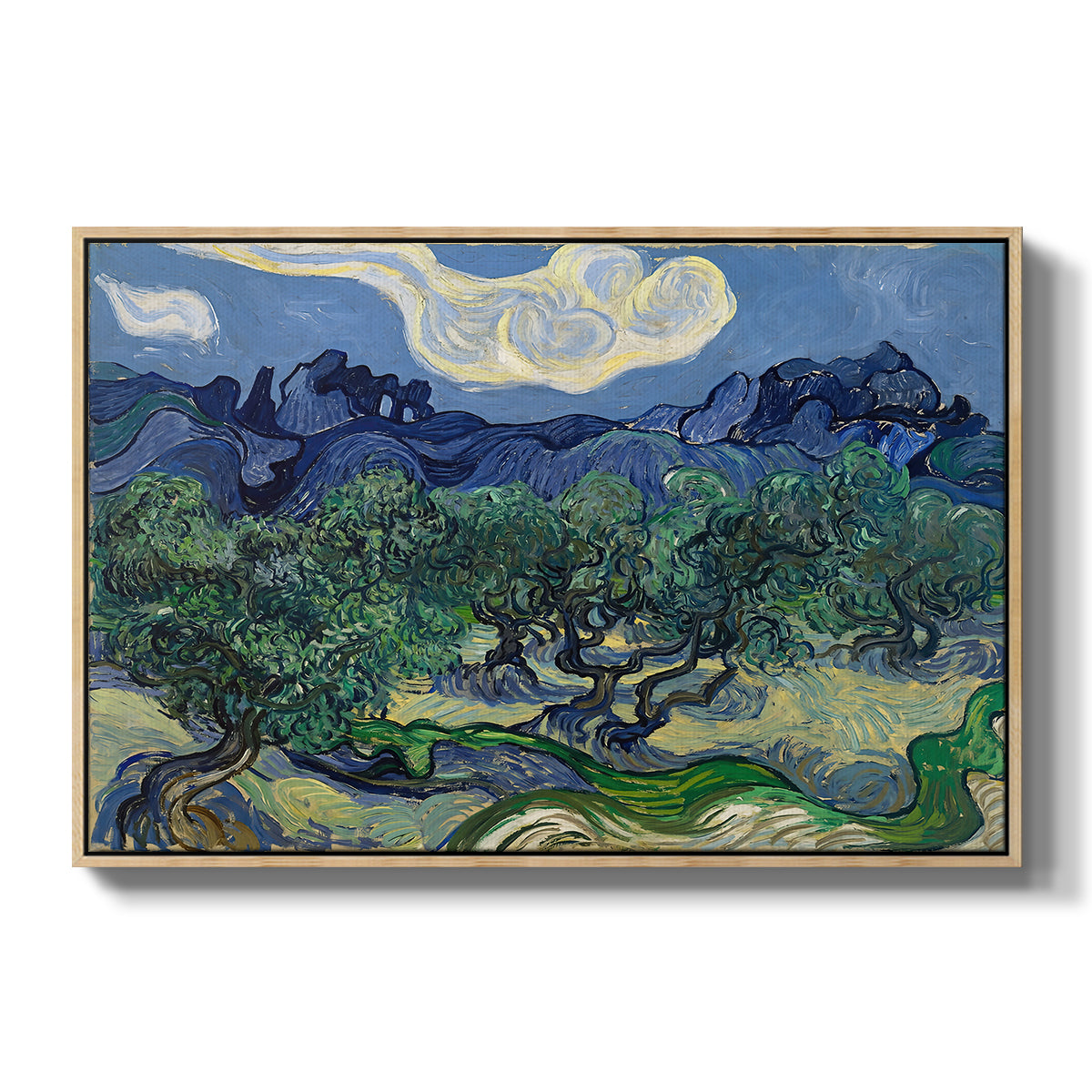 Olive Trees with the Alpilles in the Background, 1889 - Floater Framed Canvas Print
