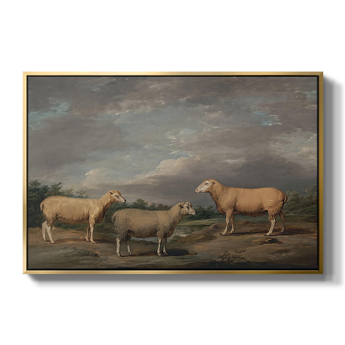 Ryelands Sheep, the King's Ram, the King's Ewe and Lord Somerville's Wether, c. 1801-1807 - Floater Framed Canvas Print