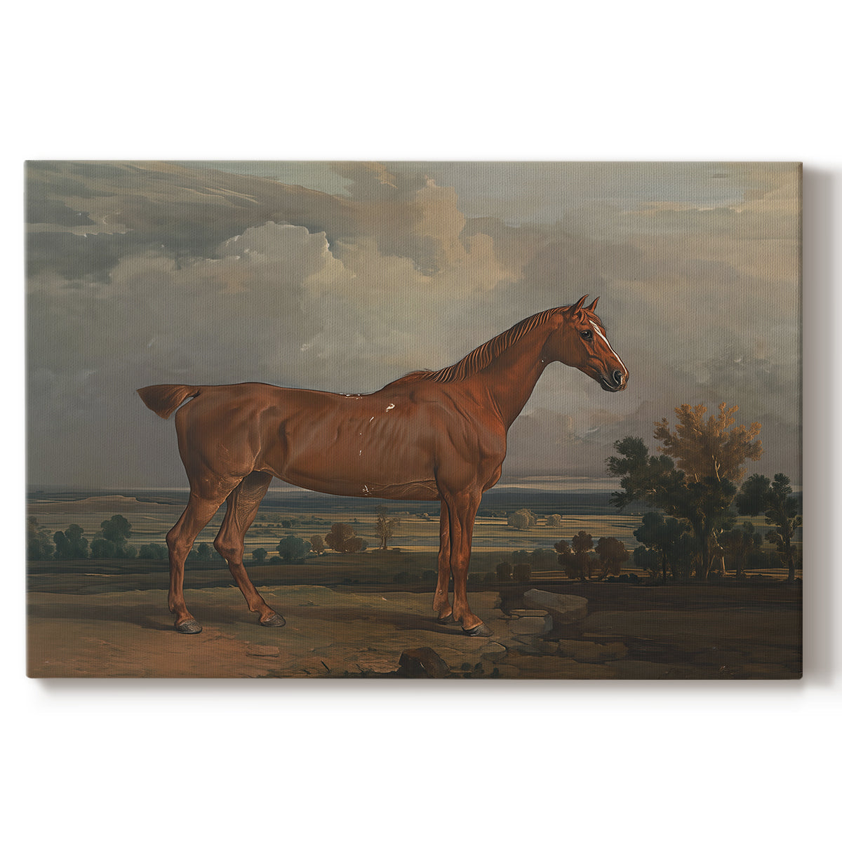 Canvas art print portraying a mounted hunter on horseback in open countryside landscape, set against a white background