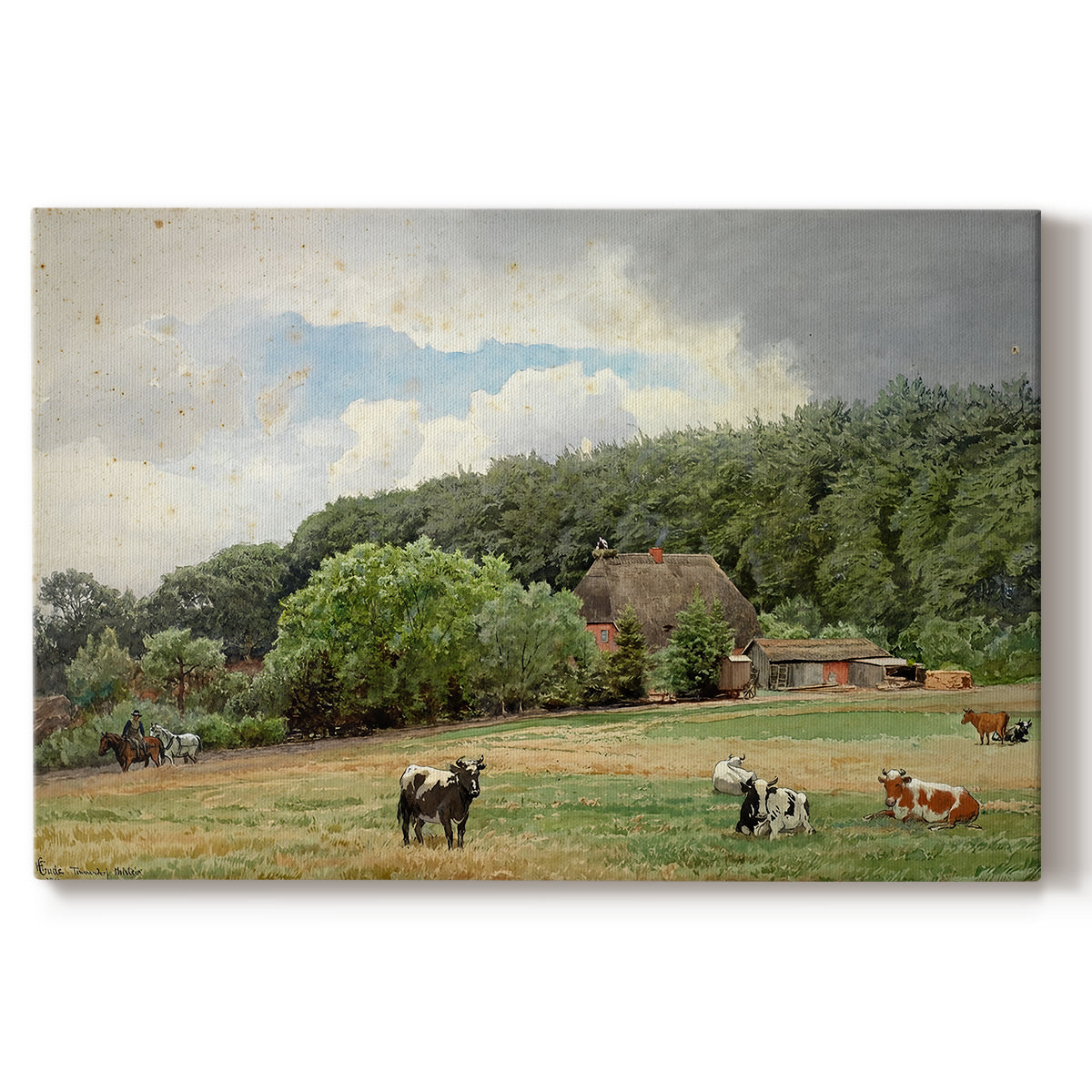 Canvas art print portraying cows grazing in pasture near farmhouse in rural countryside, set against a white background
