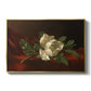 Magnolia on Red Velvet, c. 1885-1890 - Floater Framed Canvas Print