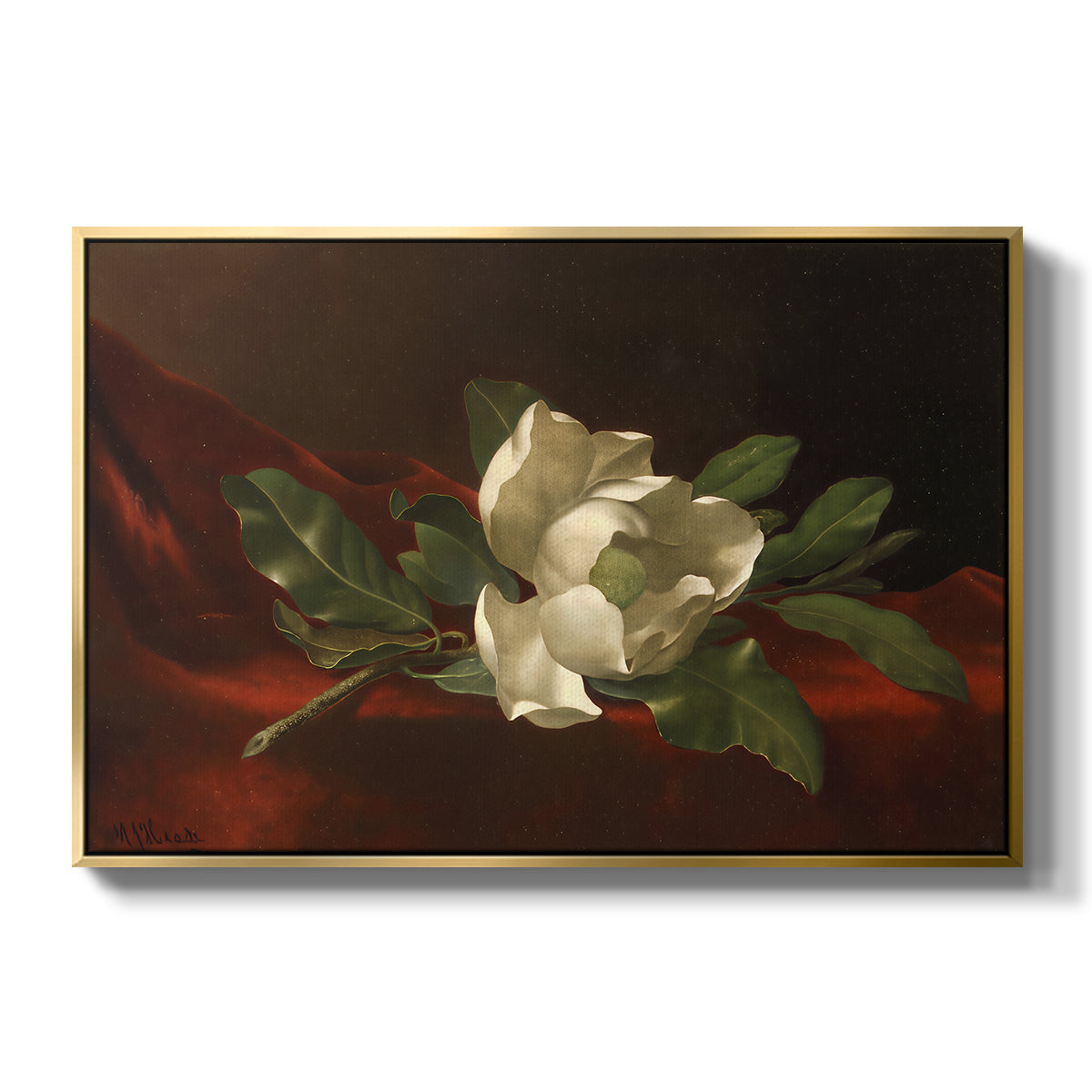 Magnolia on Red Velvet, c. 1885-1890 - Floater Framed Canvas Print