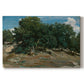 Canvas art print portraying large oak trees dominating forest landscape with open ground beneath, set against a white background