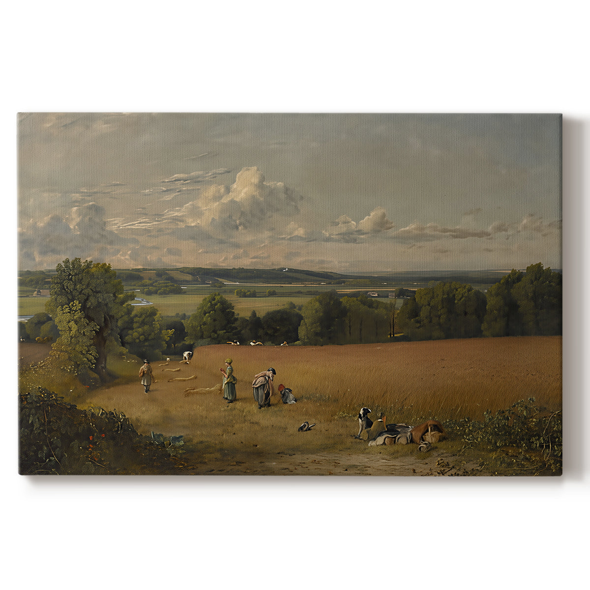 Canvas art print portraying an open field with path through crops under wide sky, set against a white background