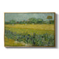 Field with Irises near Arles, 1888 - Floater Framed Canvas Print
