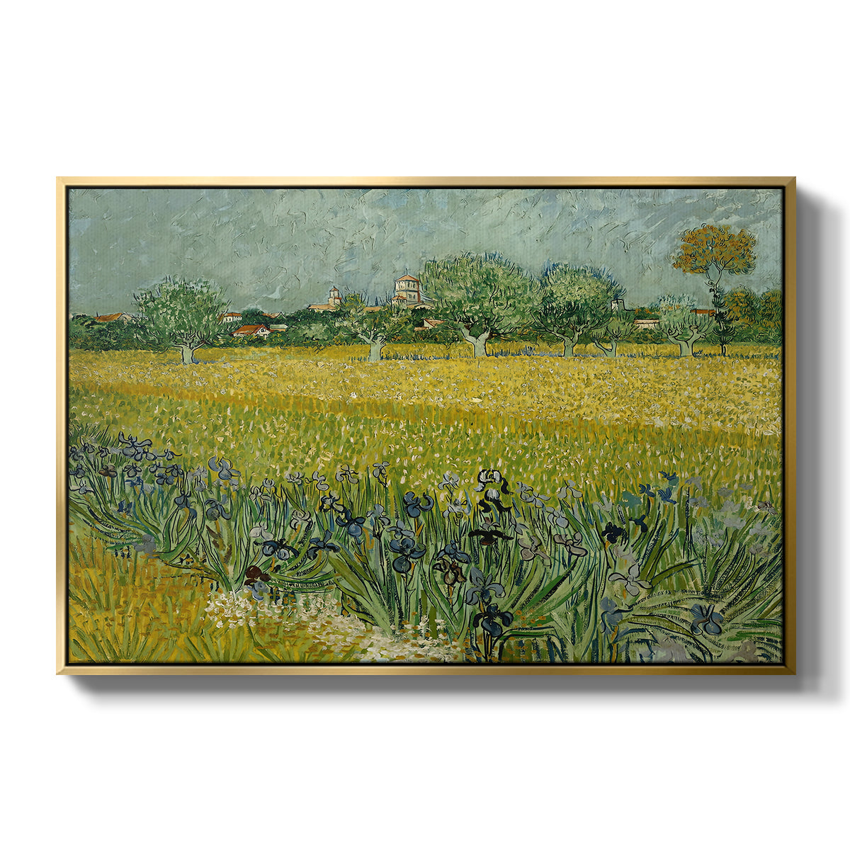 Field with Irises near Arles, 1888 - Floater Framed Canvas Print
