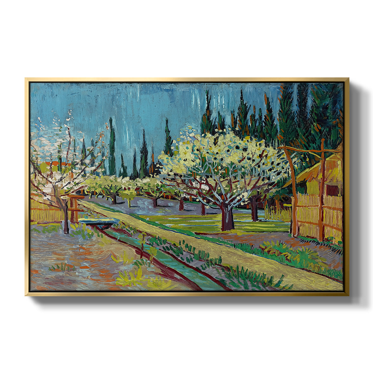 Orchard in Blossom, Bordered by Cypresses, 1888 - Floater Framed Canvas Print