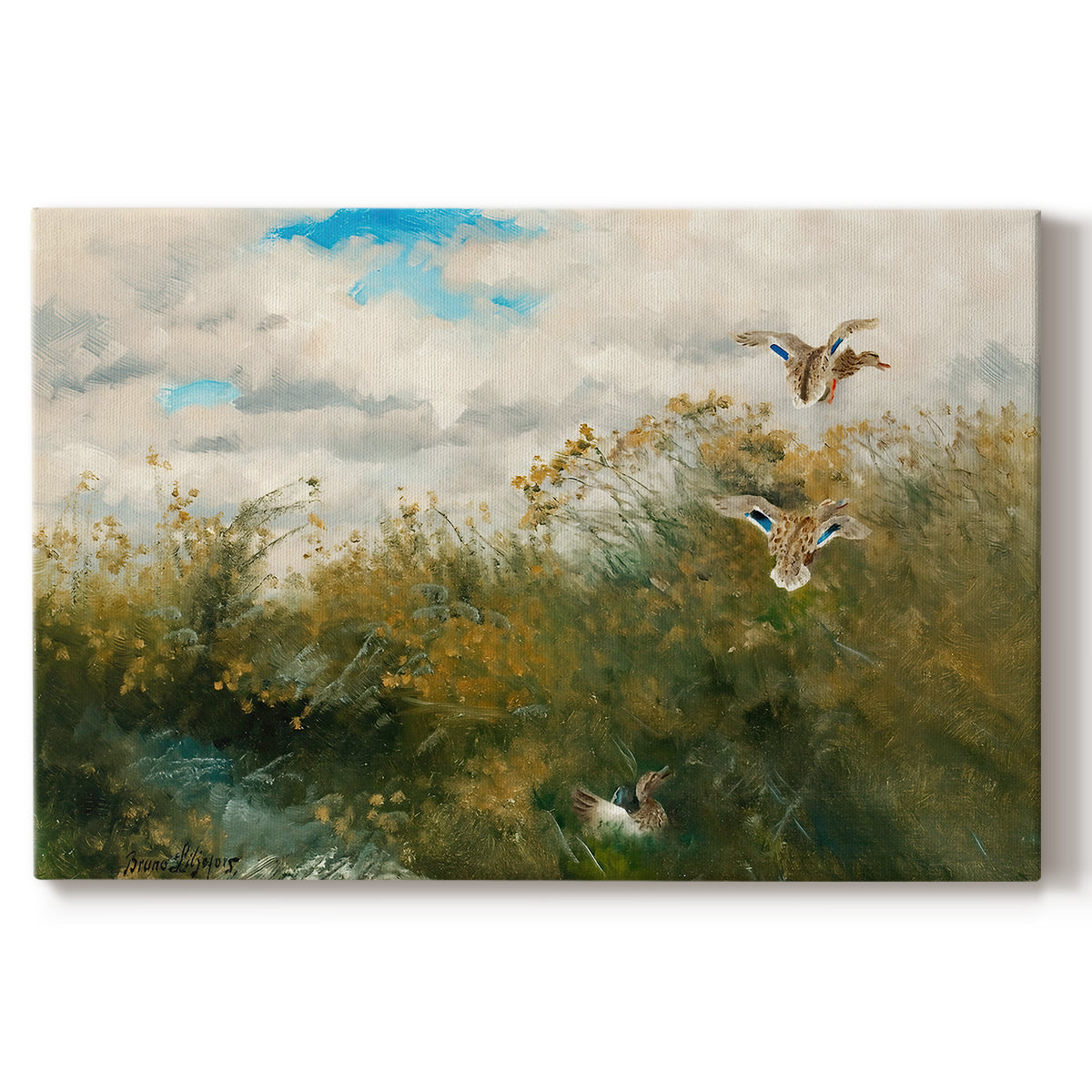 Canvas art print portraying ducks moving through grassy wetland near water's edge, set against a white background