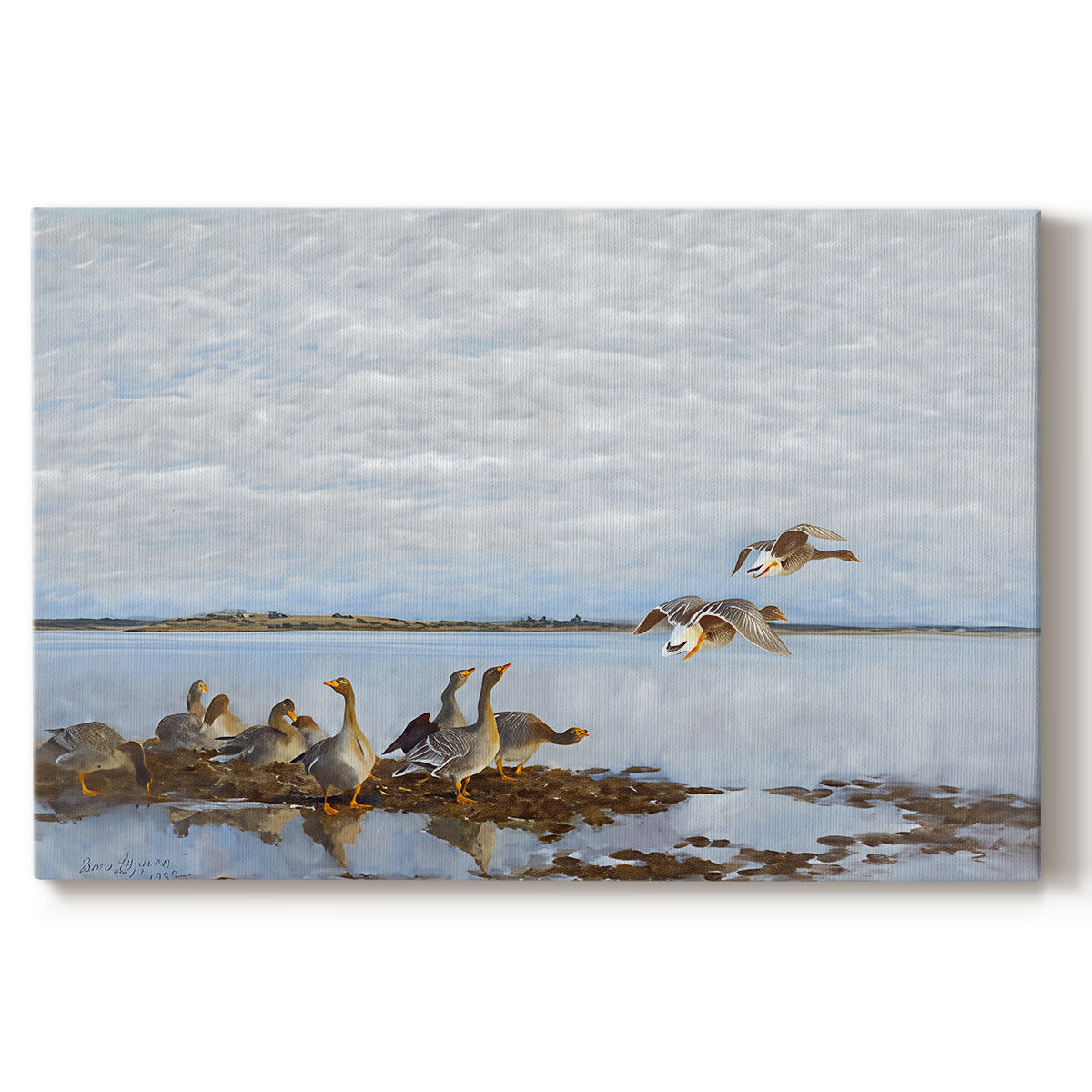 Canvas art print portraying a group of geese gathered near water in a natural wetland landscape, set against a white background