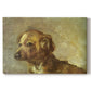 Canvas art print portraying a small dog resting with soft brushwork in warm-toned composition, set against a white background