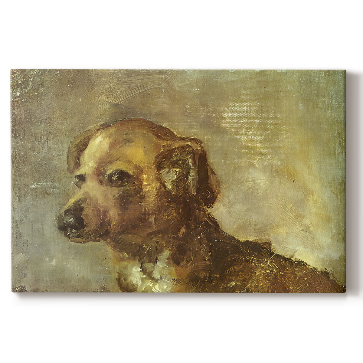 Canvas art print portraying a small dog resting with soft brushwork in warm-toned composition, set against a white background