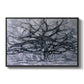 The Gray Tree, 1911 - Floater Framed Canvas Print