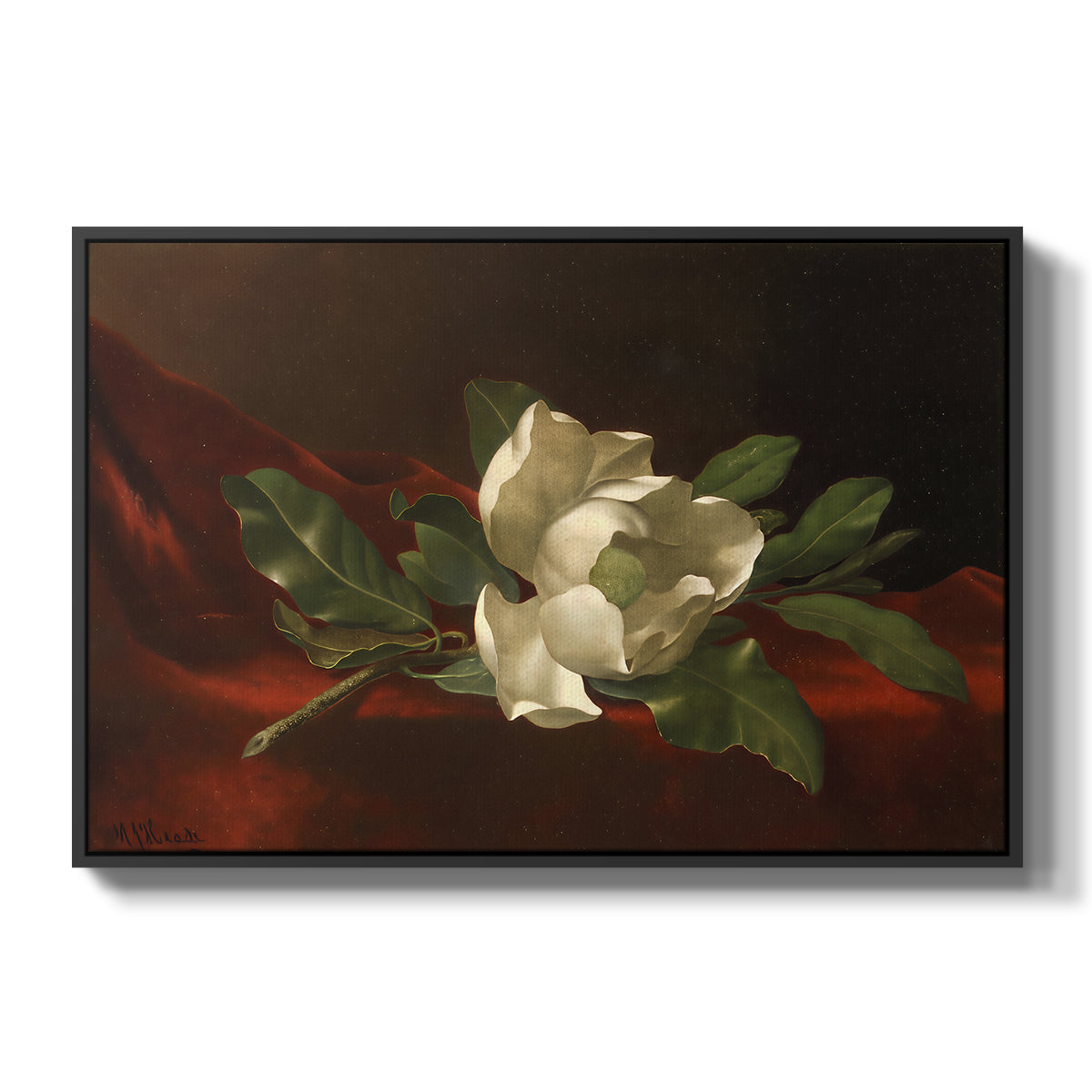 Magnolia on Red Velvet, c. 1885-1890 - Floater Framed Canvas Print