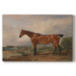 Canvas art print portraying a mounted hunter with dog in open rural landscape, set against a white background