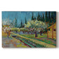 Canvas art print portraying rows of flowering trees enclosed by tall cypress trees in orchard setting, set against a white background
