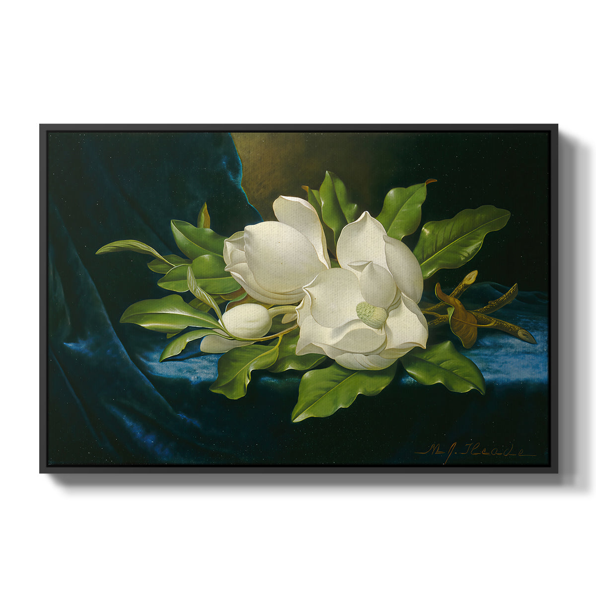 Giant Magnolias on a Blue Velvet Cloth, c. 1890 - Floater Framed Canvas Print