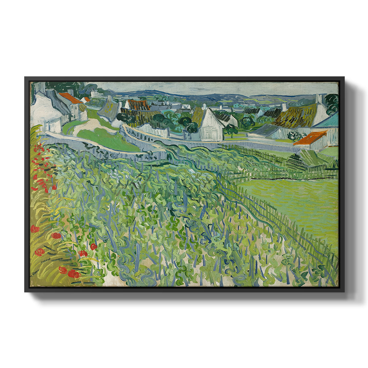 Vineyards at Auvers, 1890 - Floater Framed Canvas Print