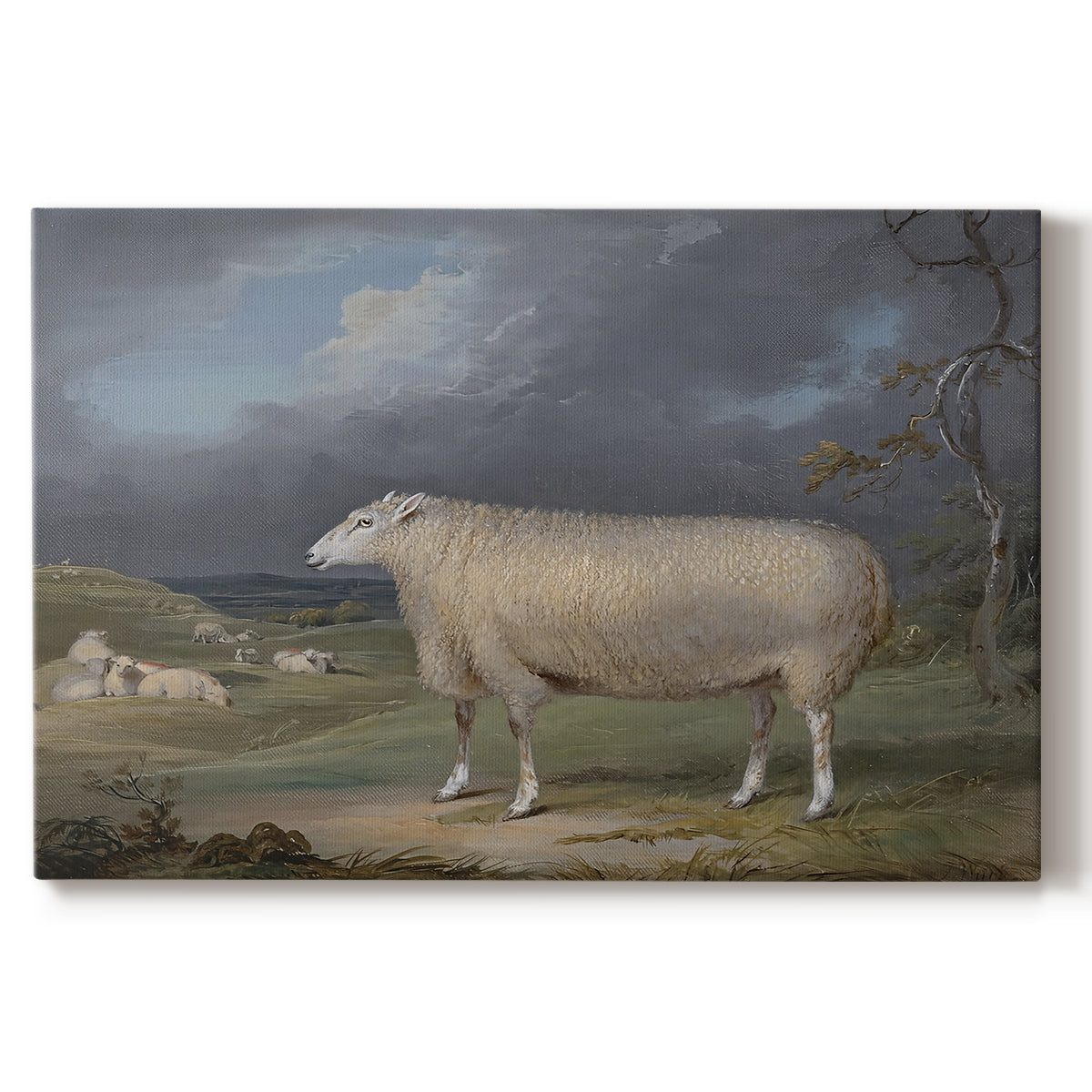Canvas art print portraying a single sheep standing in open pasture under soft sky, set against a white background