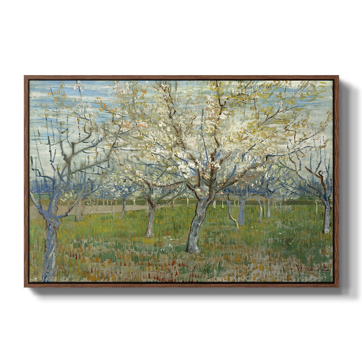 The Pink Orchard, 1888 - Floater Framed Canvas Print