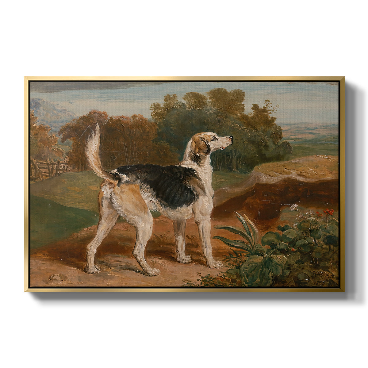 Ravager, One of the Lambton Hounds, 1835 - Floater Framed Canvas Print