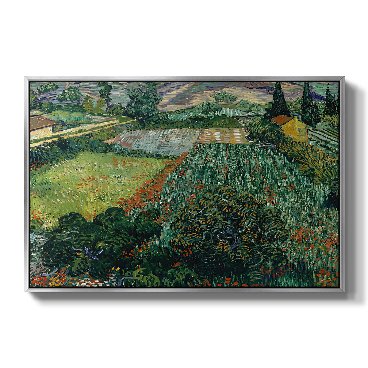 Field with Poppies, Saint-Rémy, 1889 - Floater Framed Canvas Print
