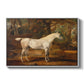 Grey Arabian Stallion, Property of Sir Watkin Williams-Wynn, c. 1817 - Floater Framed Canvas Print