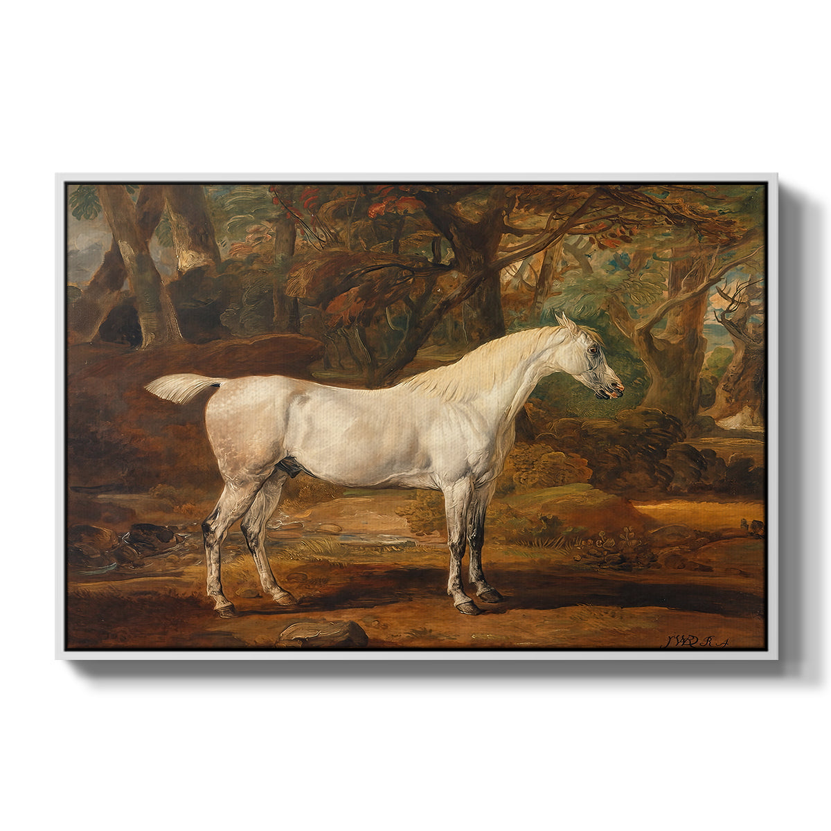 Grey Arabian Stallion, Property of Sir Watkin Williams-Wynn, c. 1817 - Floater Framed Canvas Print