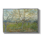 The Pink Orchard, 1888 - Floater Framed Canvas Print