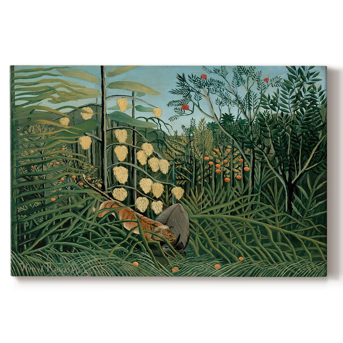Canvas art print portraying a tiger attacking buffalo in dense jungle filled with foliage, set against a white background