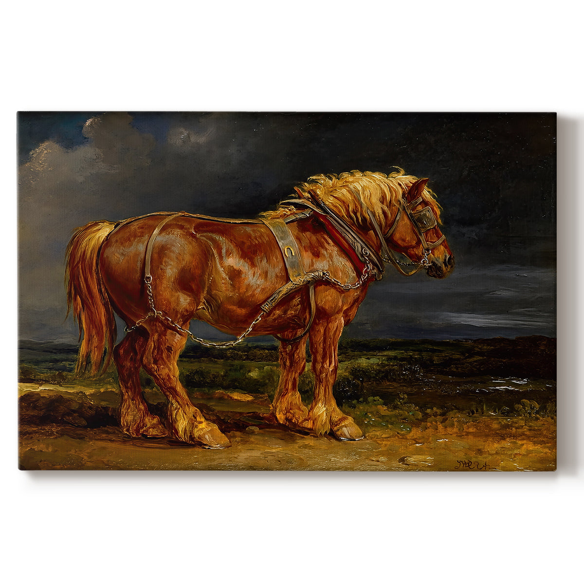 Canvas art print portraying a large shire horse standing prominently in wide open landscape, set against a white background