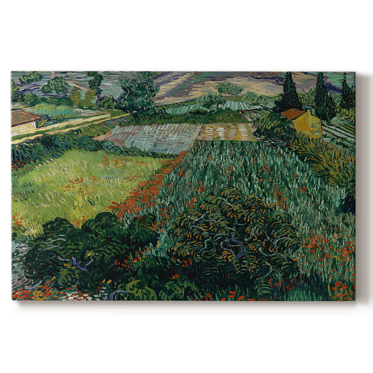 Canvas art print portraying a field dotted with red poppies under bright sky and rolling terrain, set against a white background