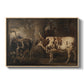 Portraits of Two Extraordinary Oxen, Property of the Earl of Powis, 1814 - Floater Framed Canvas Print