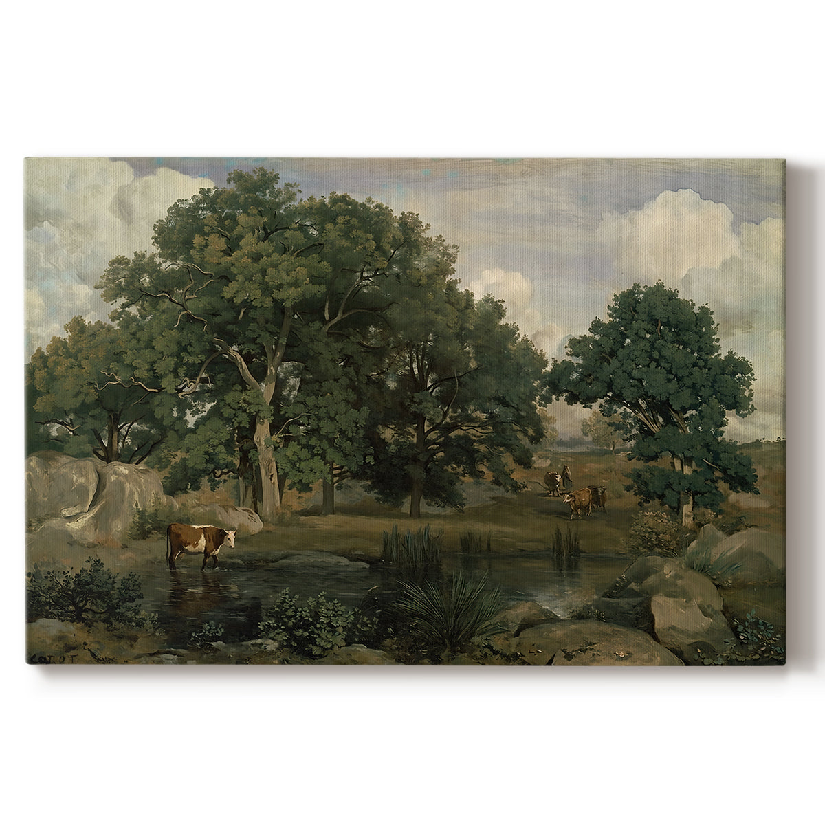 Canvas art print portraying a dense forest landscape with trees and filtered light across ground, set against a white background