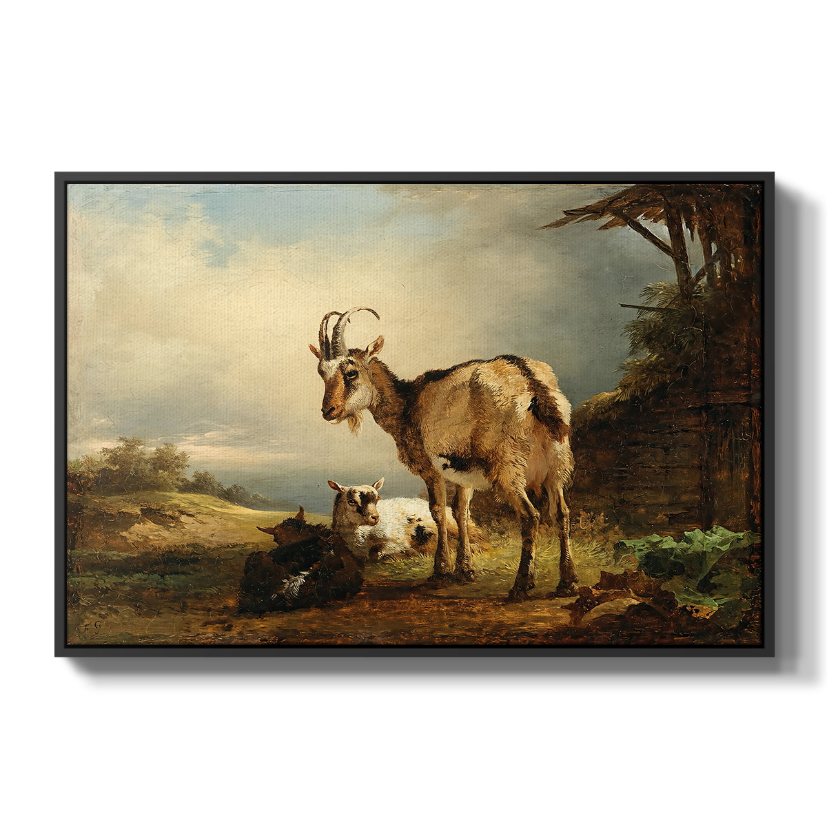 A Goat with Two Kids - Floater Framed Canvas Print