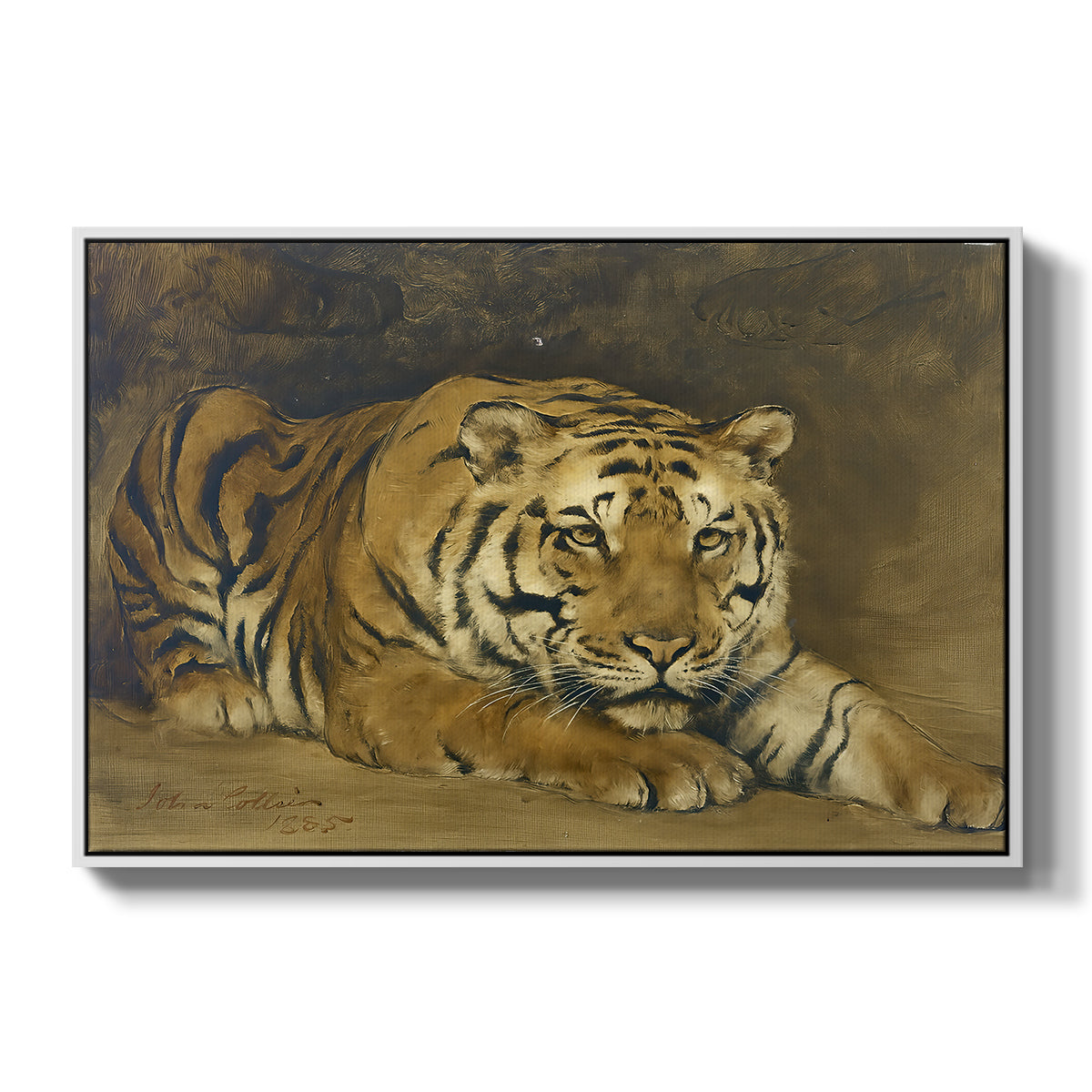 Study of a Tiger for Circe, 1885 - Floater Framed Canvas Print