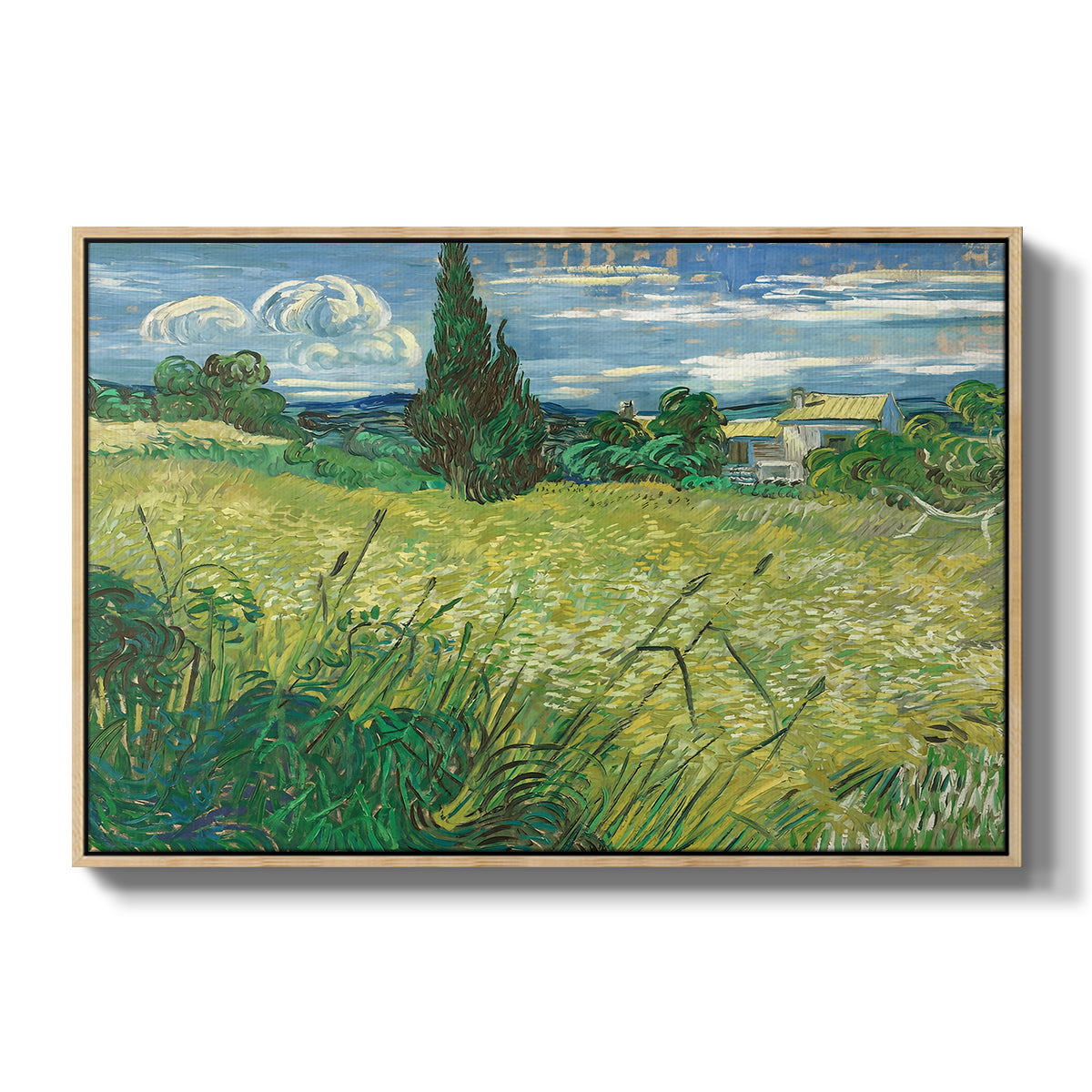 Green Wheat Field with Cypress, 1889 - Floater Framed Canvas Print