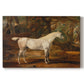 Canvas art print portraying a grey Arabian stallion standing in landscape with refined posture, set against a white background