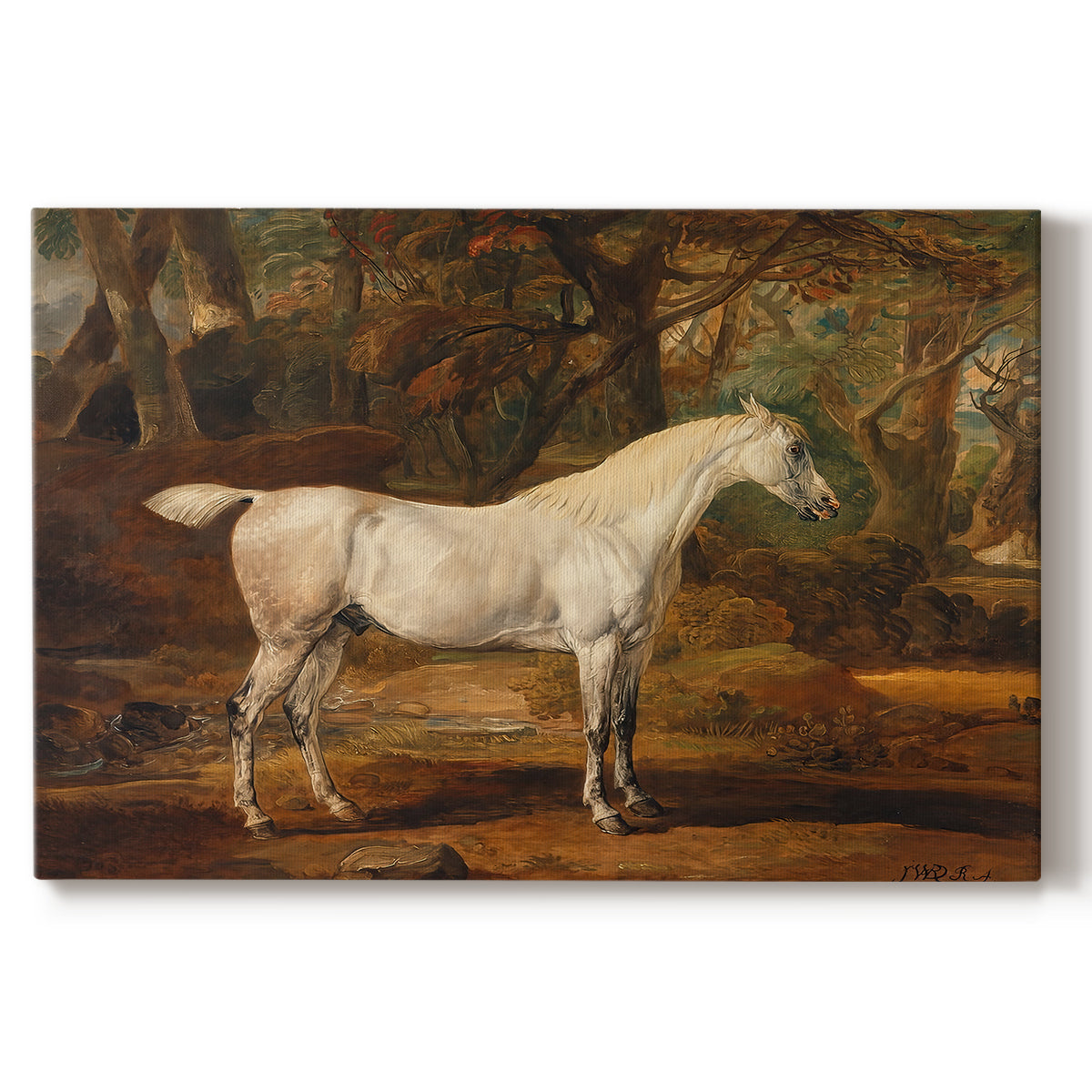 Canvas art print portraying a grey Arabian stallion standing in landscape with refined posture, set against a white background