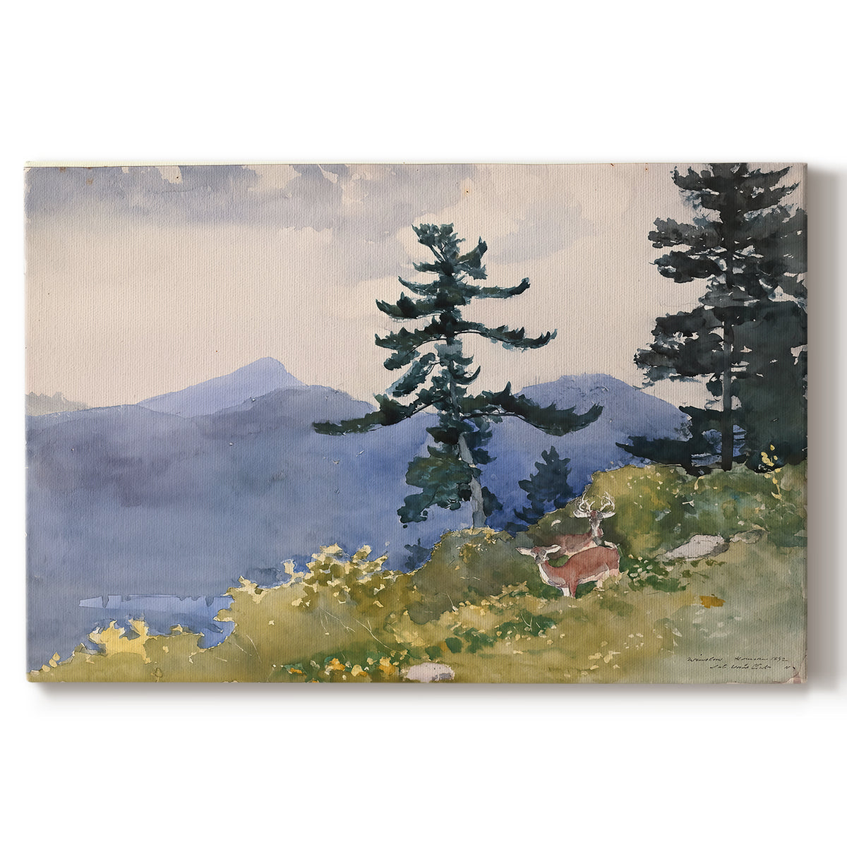 Canvas art print portraying a quiet forest clearing with trees and distant structure in natural setting, set against a white background