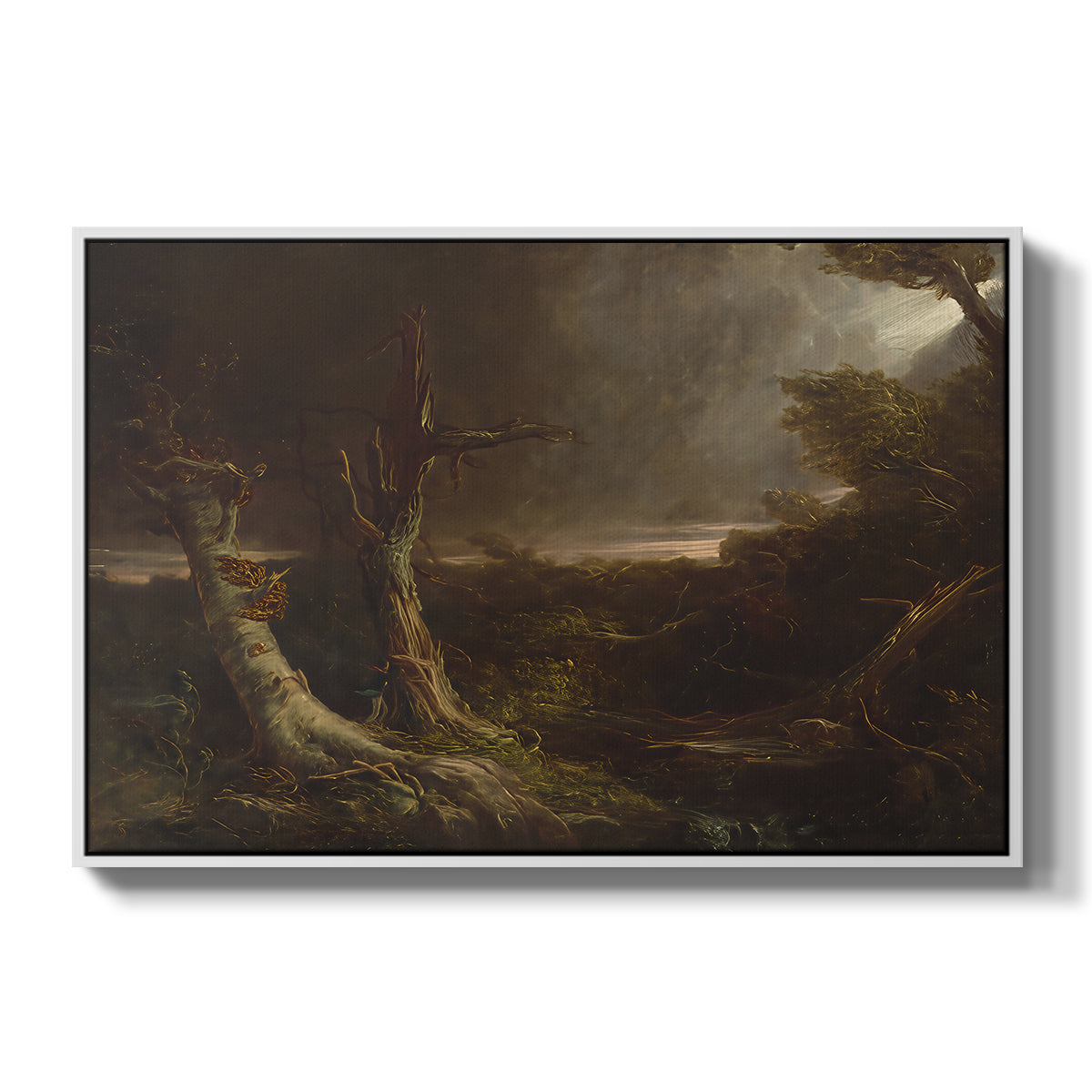 Tornado in an American Forest, 1835 - Floater Framed Canvas Print