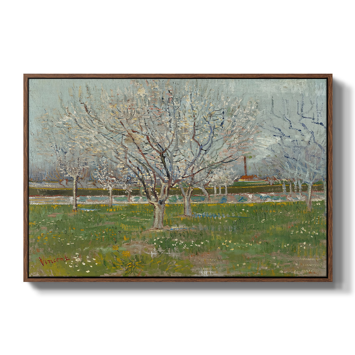 Orchard in Blossom (Plum Trees), 1888 - Floater Framed Canvas Print