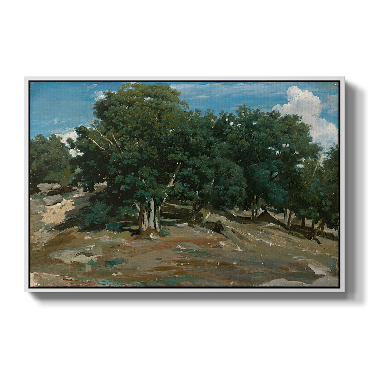 Fontainebleau: Oak Trees at Bas-Bréau, c. 1830-1835 - Floater Framed Canvas Print