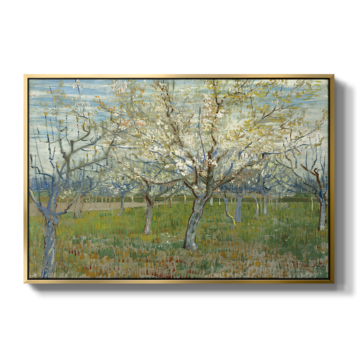 The Pink Orchard, 1888 - Floater Framed Canvas Print