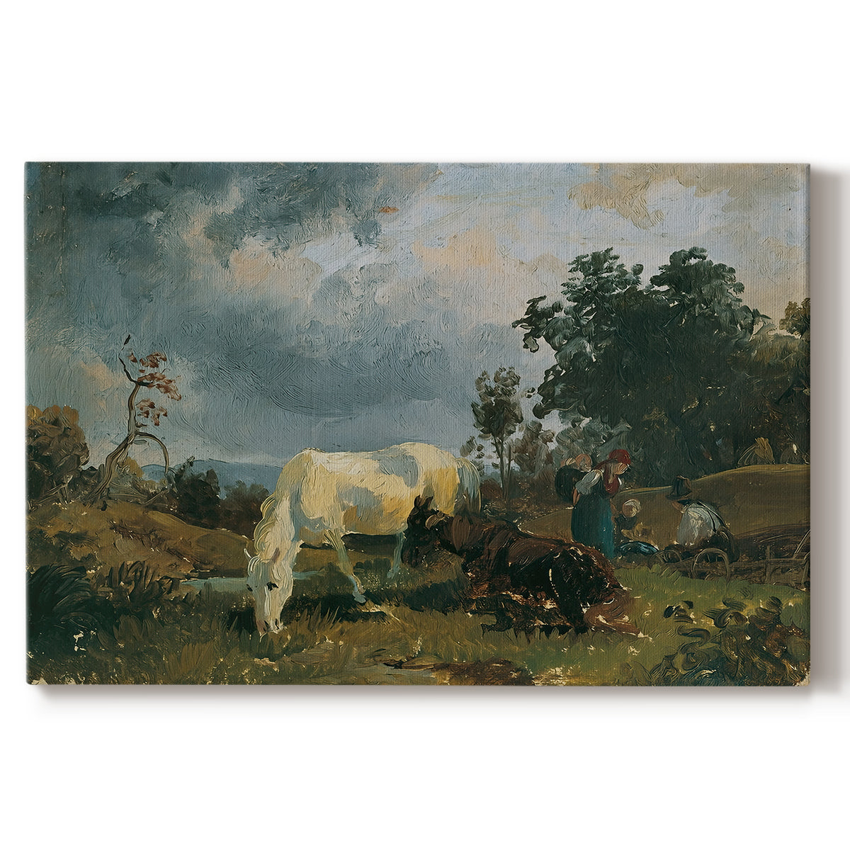 Canvas art print portraying grazing livestock resting in open heath landscape, set against a white background