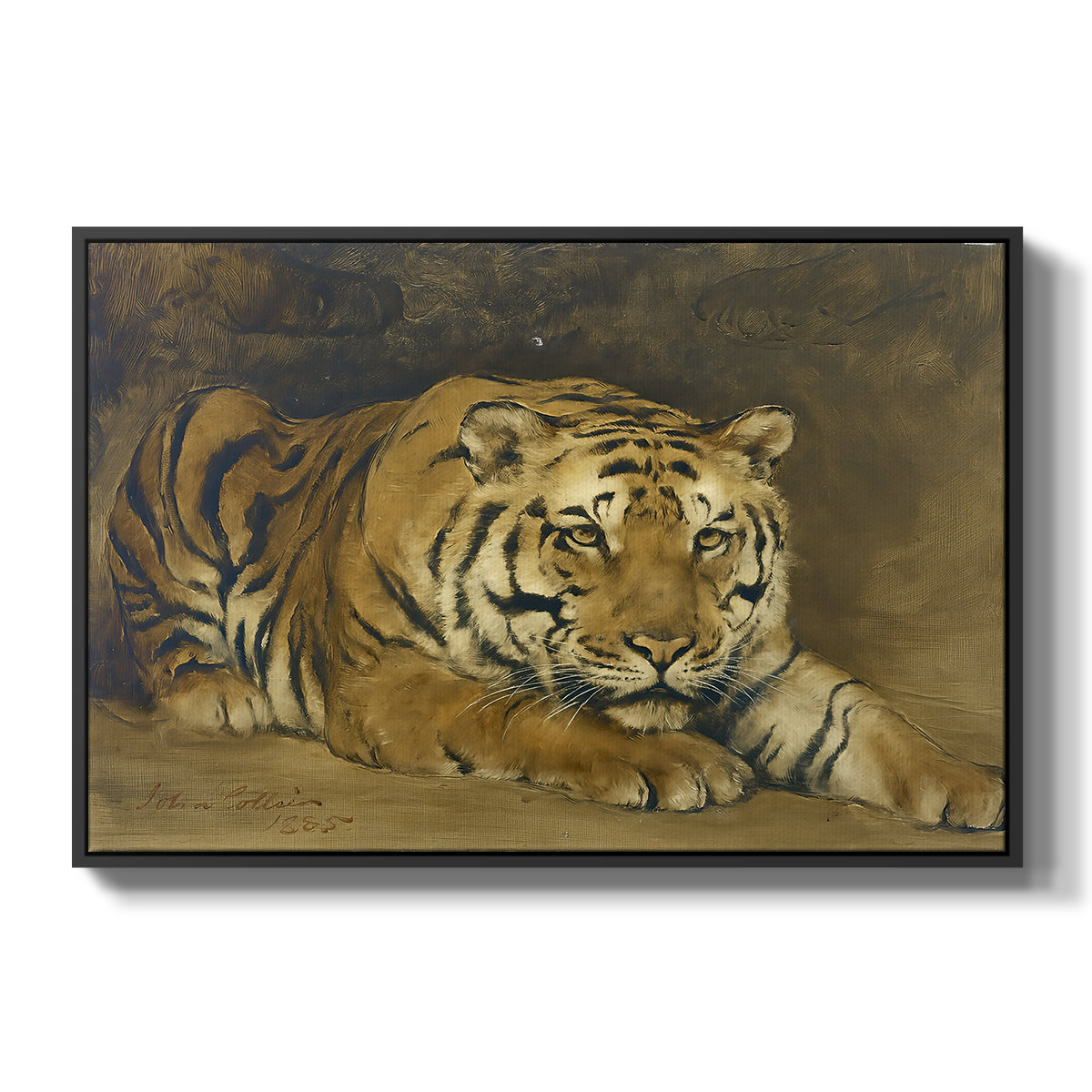 Study of a Tiger for Circe, 1885 - Floater Framed Canvas Print