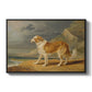Rough-Coated Collie, 1809 - Floater Framed Canvas Print