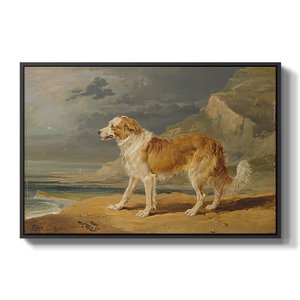 Rough-Coated Collie, 1809 - Floater Framed Canvas Print